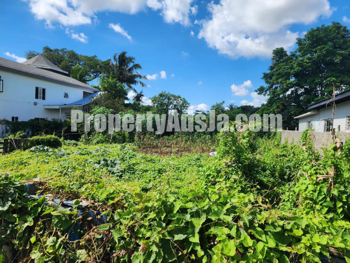 Residential lot For Sale in Lauriston, St. Catherine Jamaica