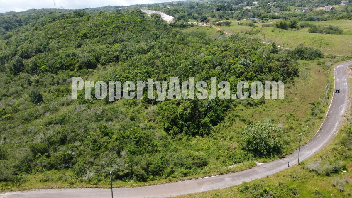 Land For Sale in New Wales, Manchester Jamaica