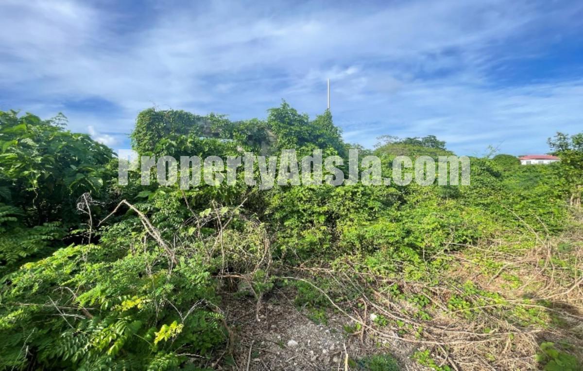 Residential lot For Sale in Galina, St. Mary Jamaica