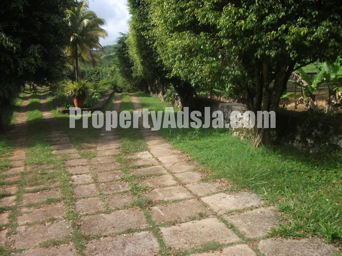 Commercial/farm land For Rent in BRITONVILLECLAREMONT, St. Ann Jamaica
