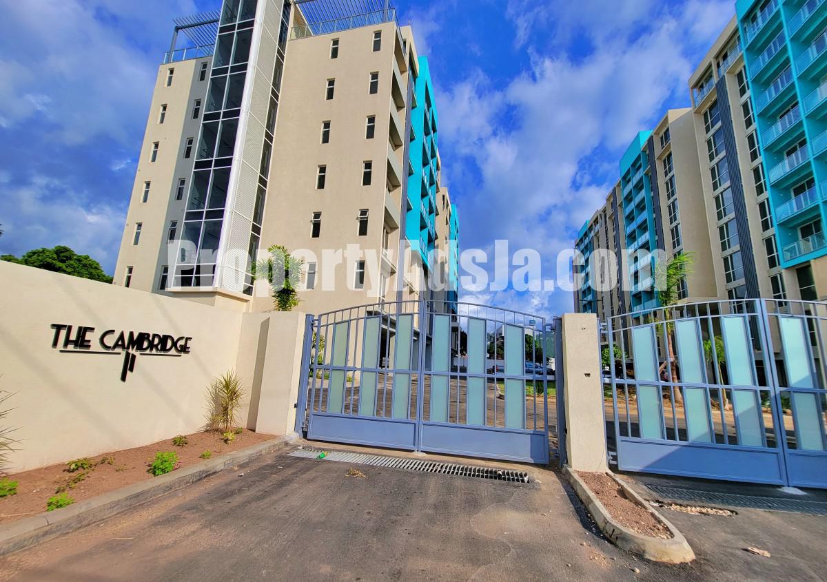 Apartment For Rent in New Kingston, Kingston / St. Andrew Jamaica Apartment For Rent in New Kingston, Kingston / St. Andrew Jamaica