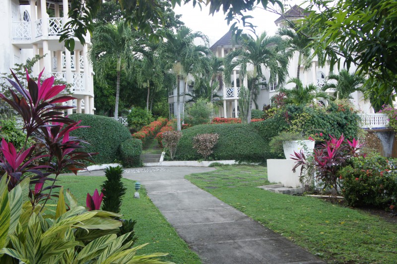 Apartment For Rent in Columbus Heights, St. Ann Jamaica