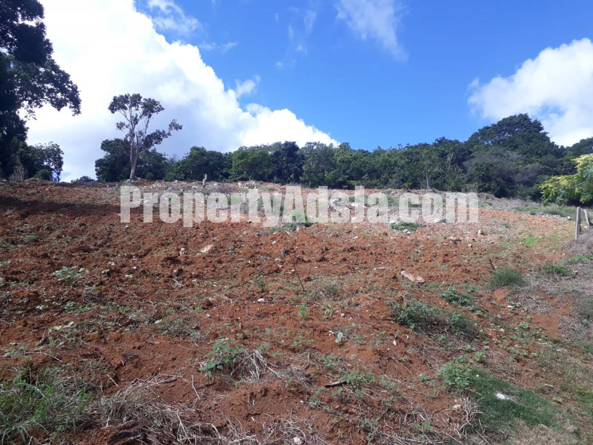 Land For Sale in Christiana, Manchester Jamaica