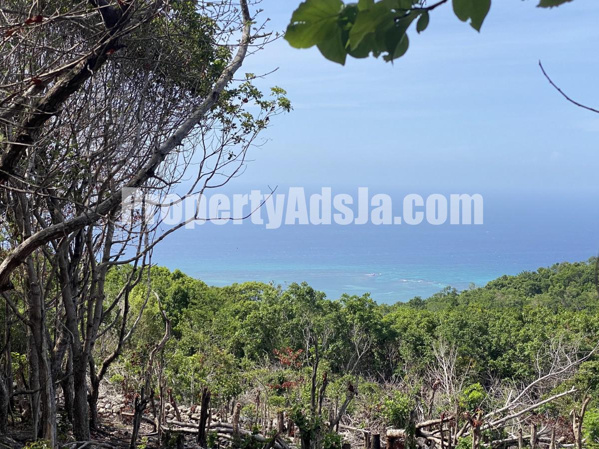 Land For Sale in Montego Bay, St. James Jamaica