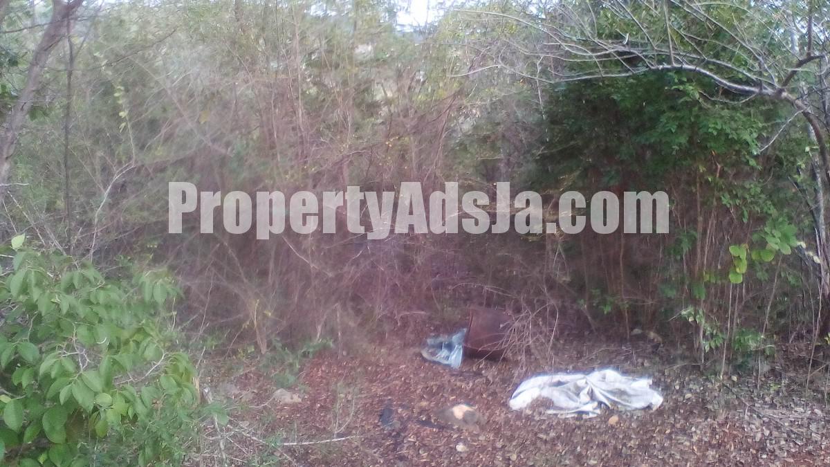 Residential lot For Sale in Cocoa Walk, St. Catherine Jamaica