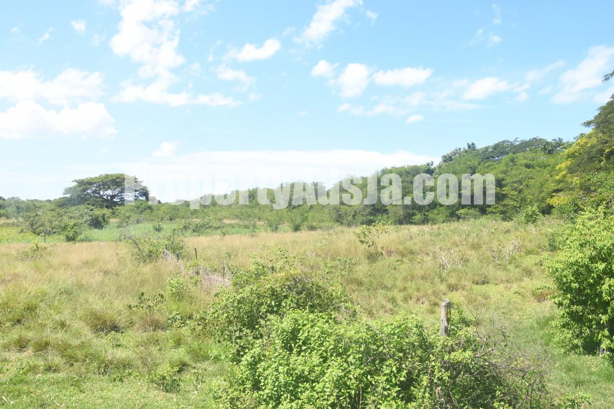 Commercial/farm land For Rent in Black River, St. Elizabeth Jamaica