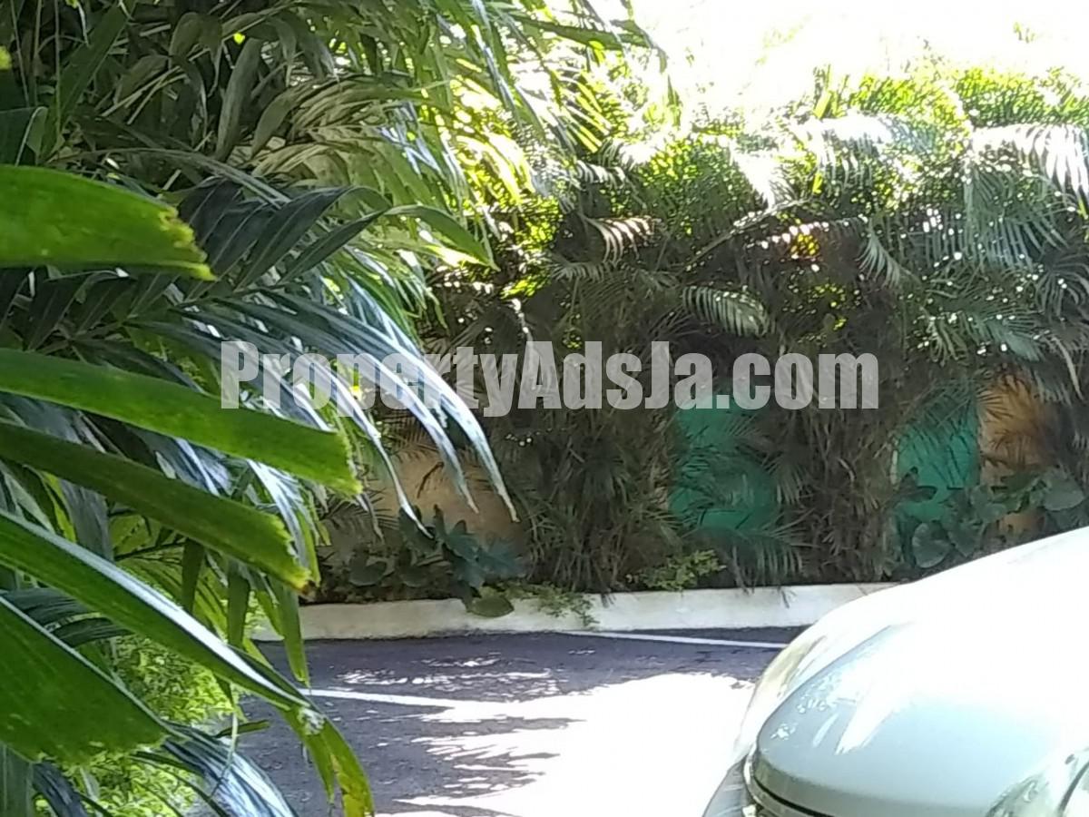 Resort/vacation property For Sale in Waltham, Kingston / St. Andrew Jamaica