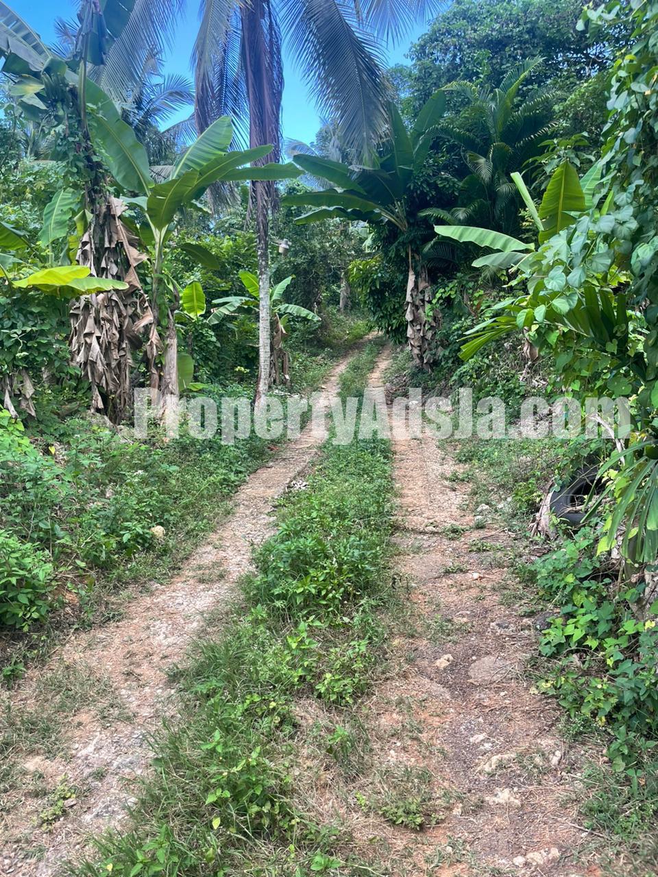 Commercial/farm land For Sale in Ewarton, St. Catherine Jamaica