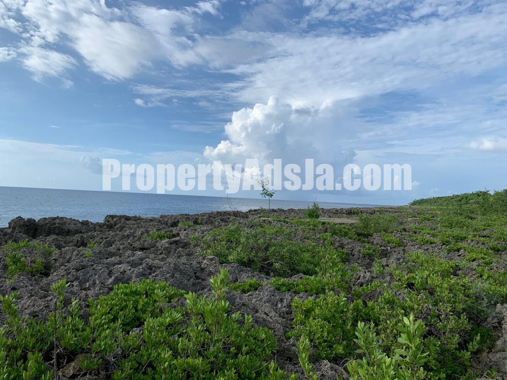 Resort/vacation property For Sale in Green Island, Hanover Jamaica