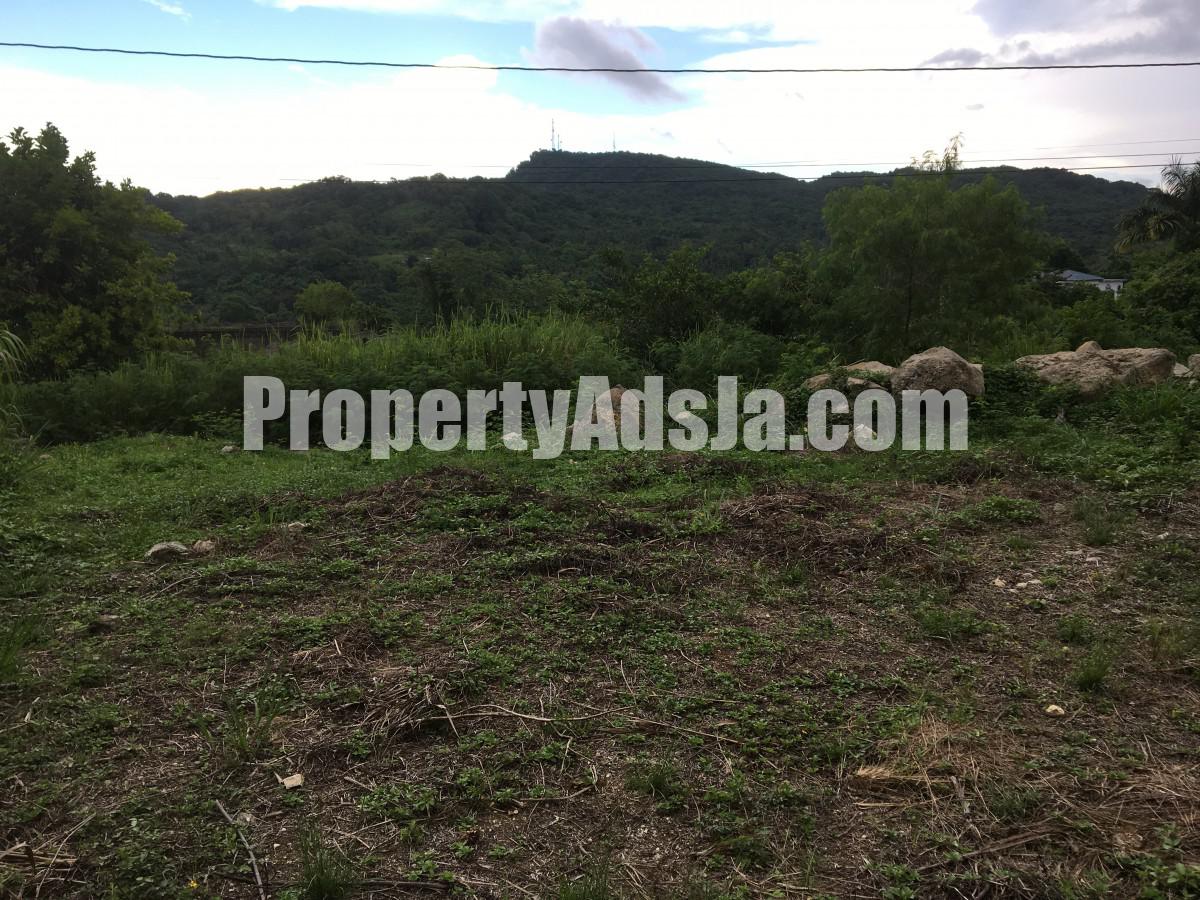 Residential lot For Sale in Oracabessa, St. Mary Jamaica