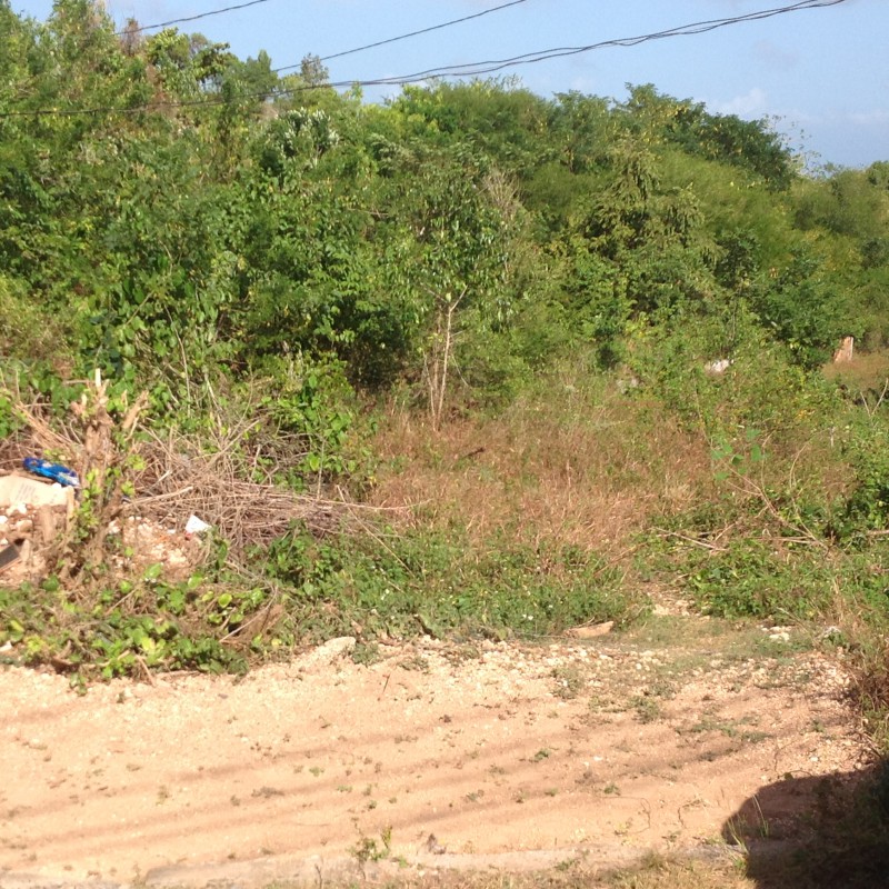 Residential lot For Sale in Whitehall, Westmoreland Jamaica