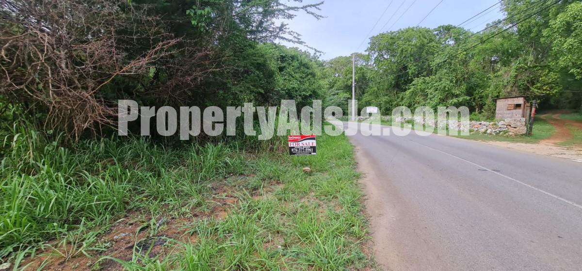 Land For Sale in Silver Sands, Trelawny Jamaica