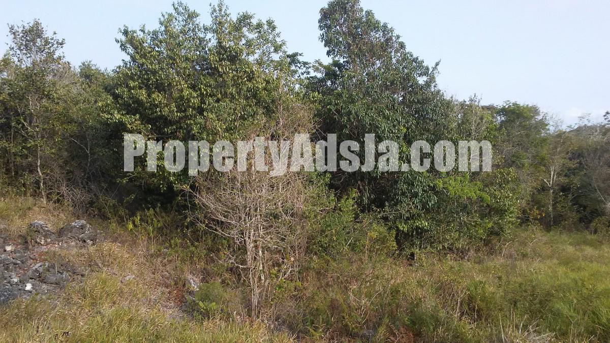 Residential lot For Sale in Longsyne Cross Keys, Manchester Jamaica