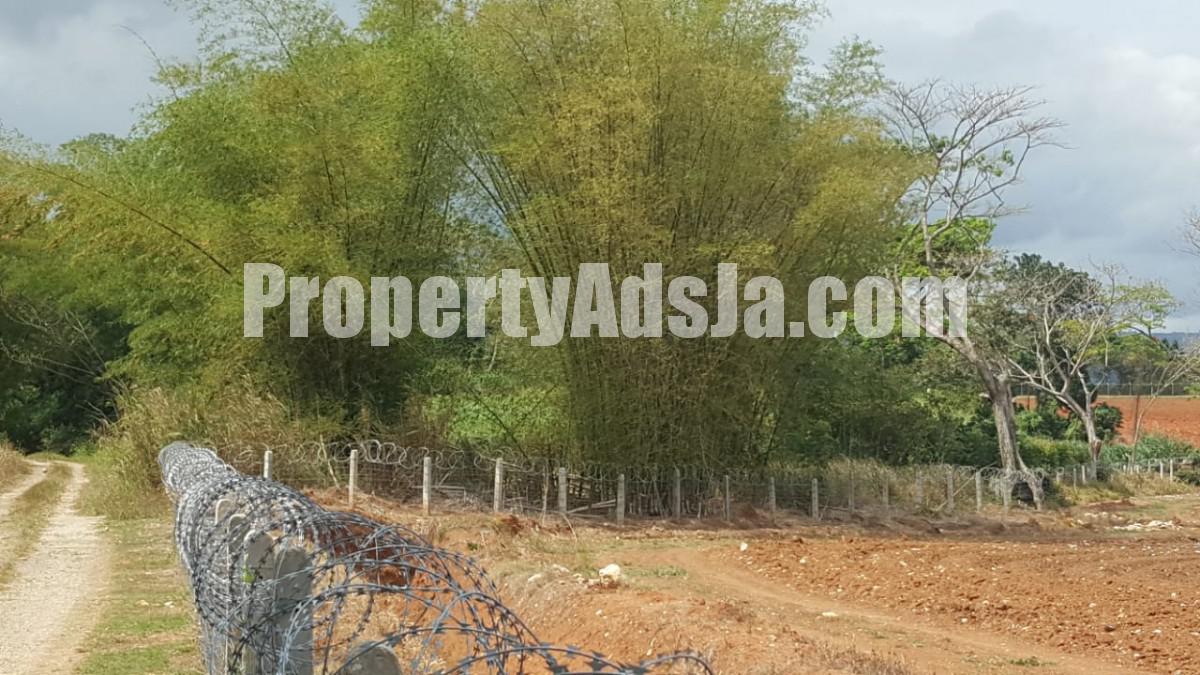 Commercial/farm land For Sale in Linstead, St. Catherine Jamaica