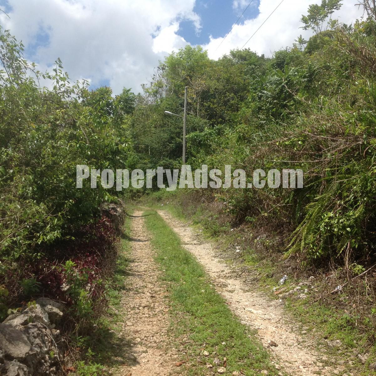 Residential lot For Sale in Mile Gully, Manchester Jamaica