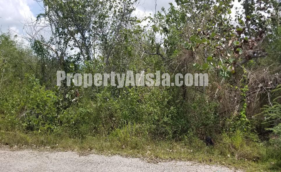 Residential lot For Sale in PAROTTEE, St. Elizabeth Jamaica