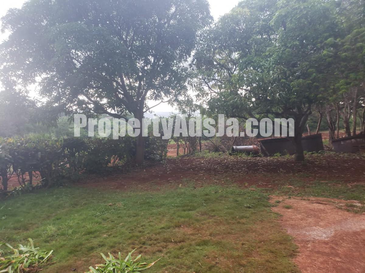 House For Rent in Lititz, St. Elizabeth Jamaica