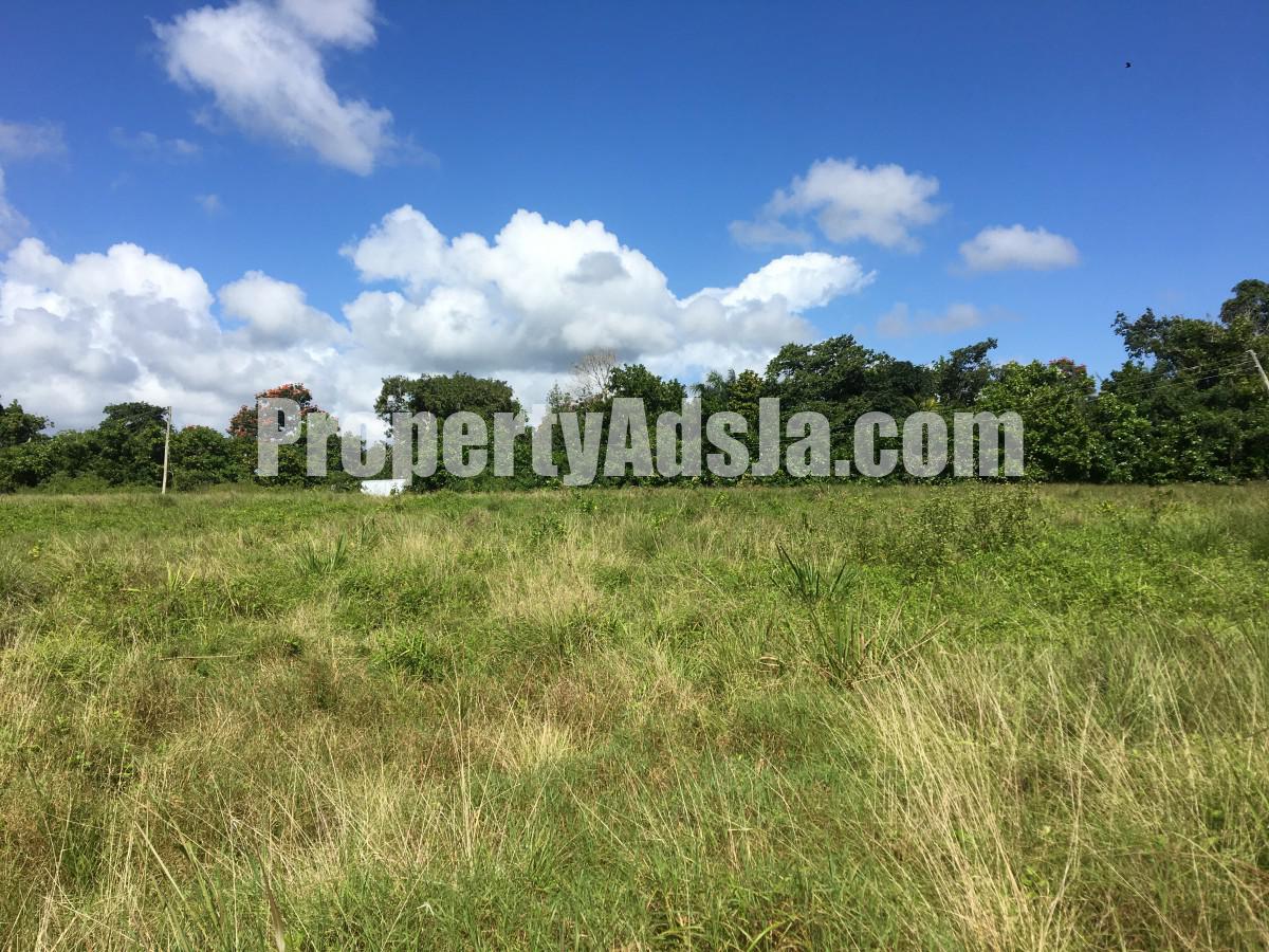 Residential lot For Sale in Port Maria, St. Mary Jamaica