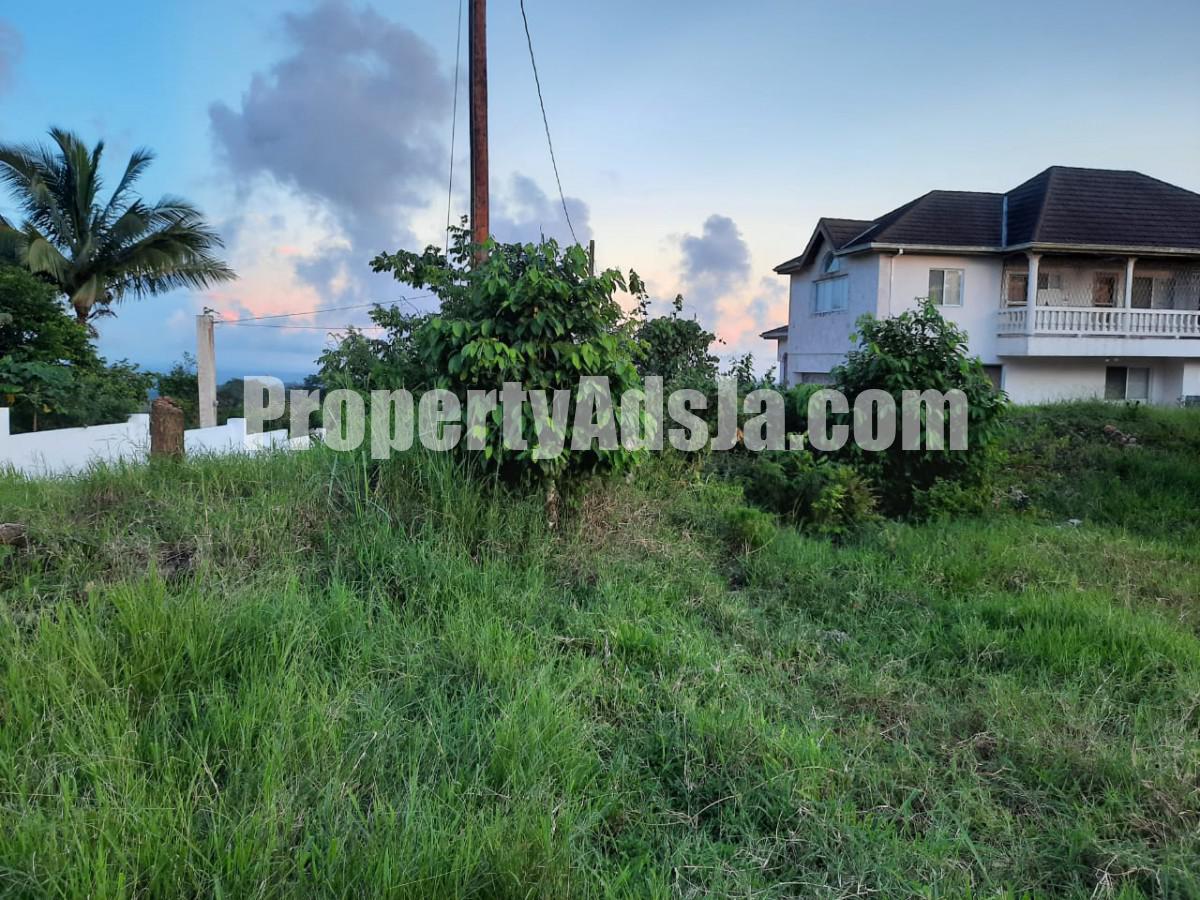 Residential lot For Sale in 6 Waltham Mandeville, Manchester Jamaica