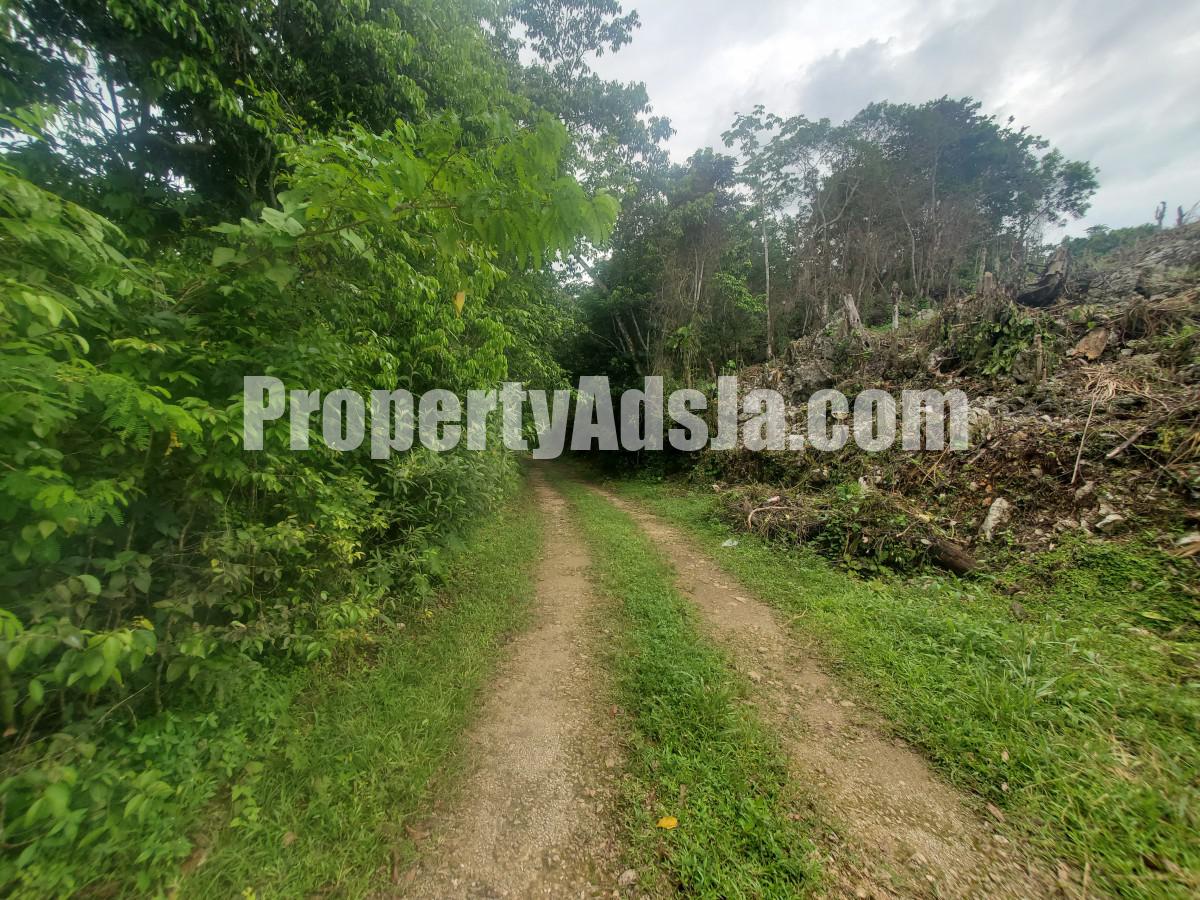 Residential lot For Sale in Coopers Hill, Kingston / St. Andrew Jamaica