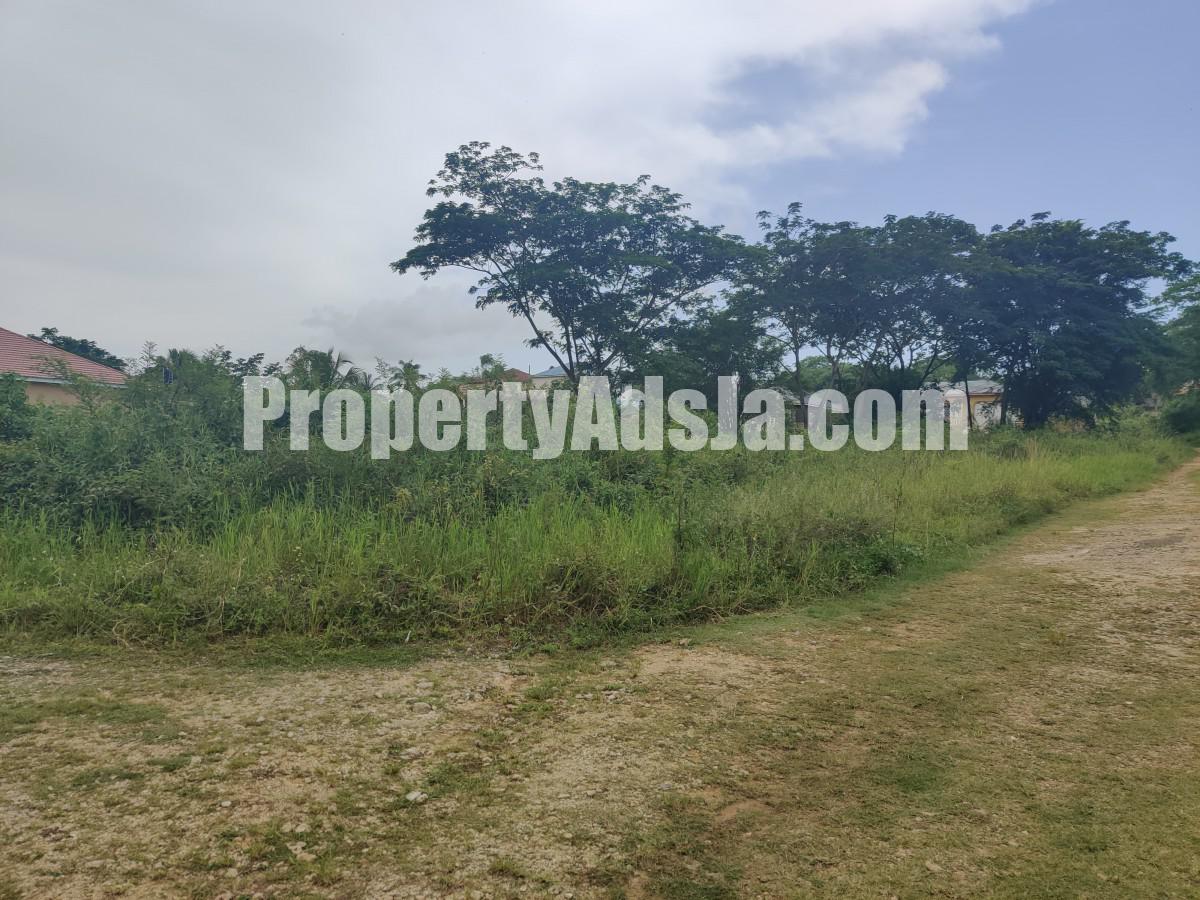 Residential lot For Sale in Lot 204 Olive Park, St. Elizabeth Jamaica