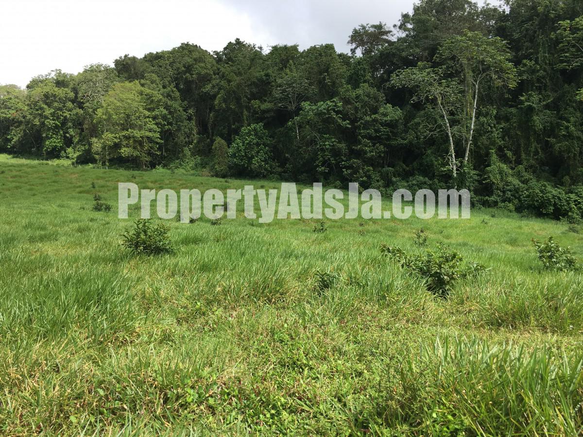 Residential lot For Sale in Chippenham Park Bamboo, St. Ann Jamaica