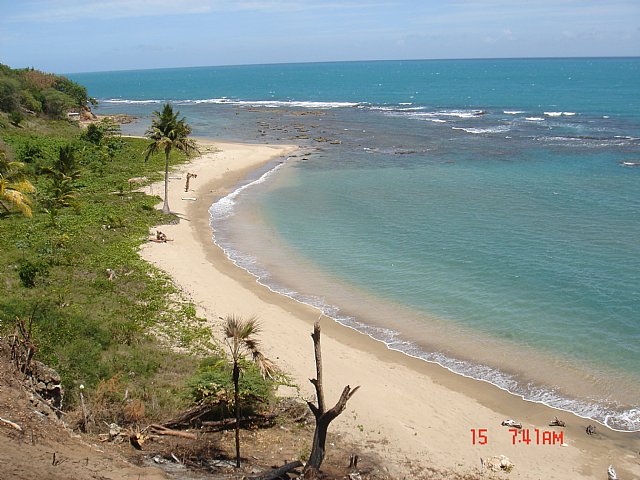 Resort/vacation property For Sale in st elizabeth, St. Elizabeth