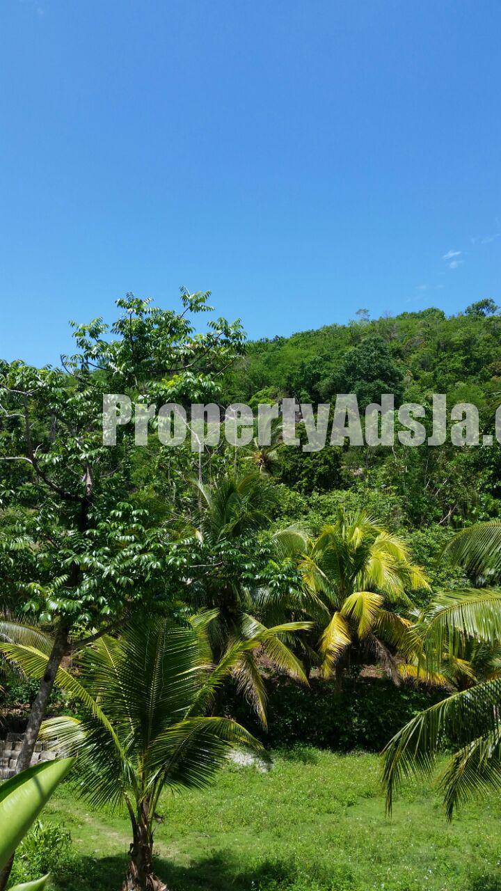 Residential lot For Sale in Hopewell Sheffield Road, Westmoreland