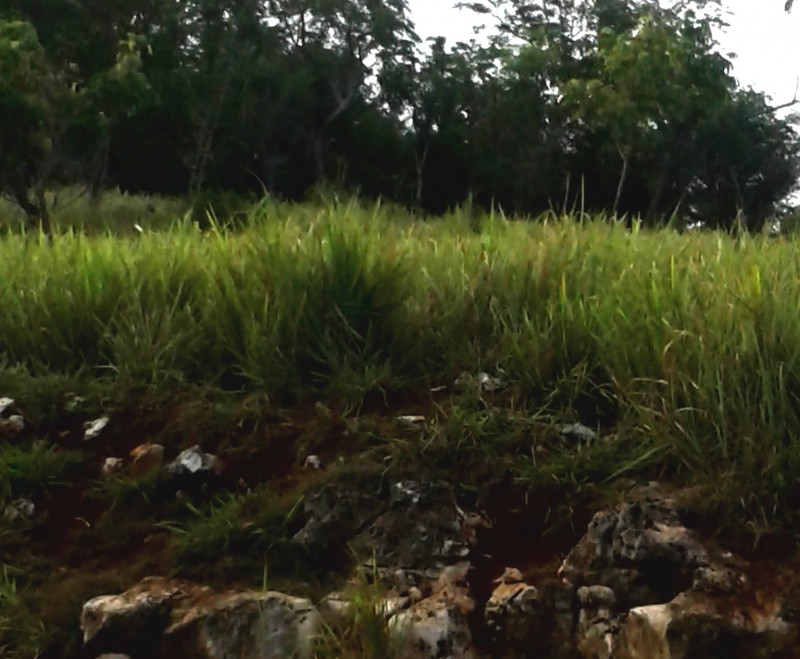 Residential lot For Sale in Plantation Heights, Kingston / St. Andrew