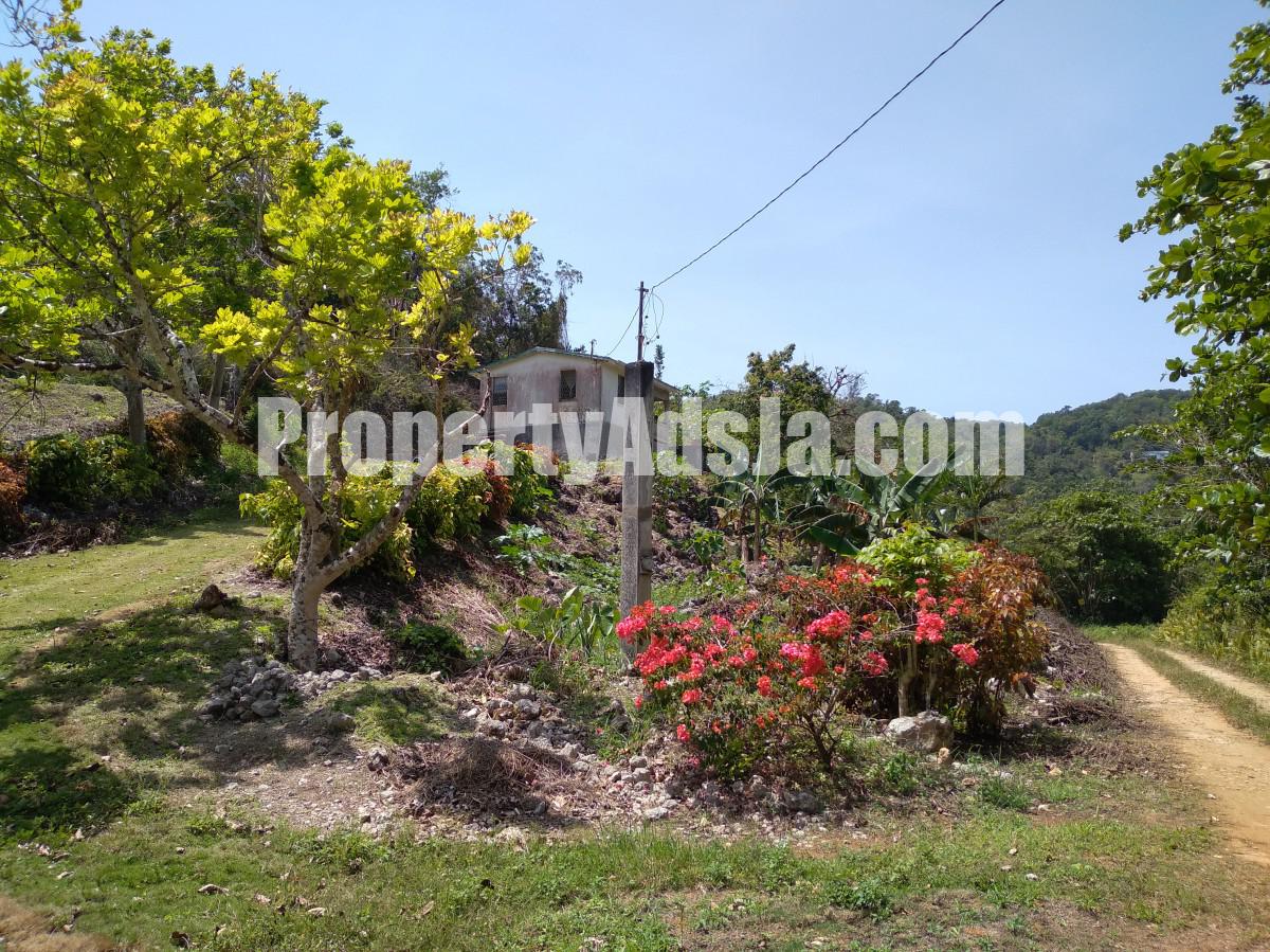 House For Sale in Retreat Browns Town, St. Ann Jamaica