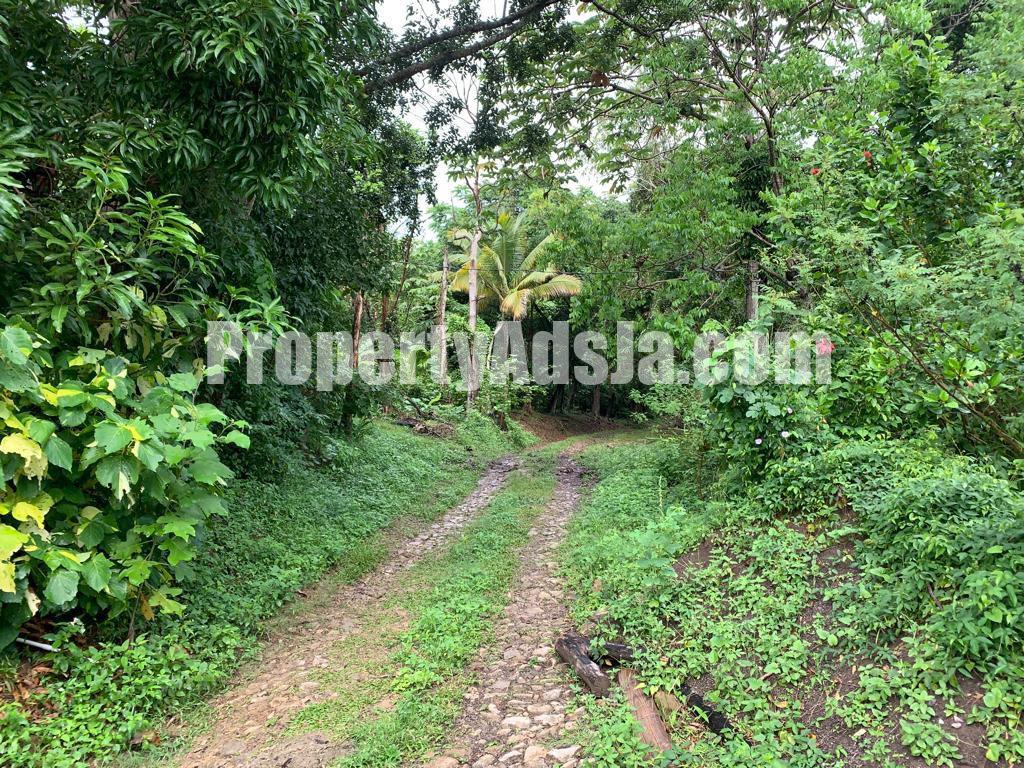 House For Sale in Islington, St. Mary Jamaica