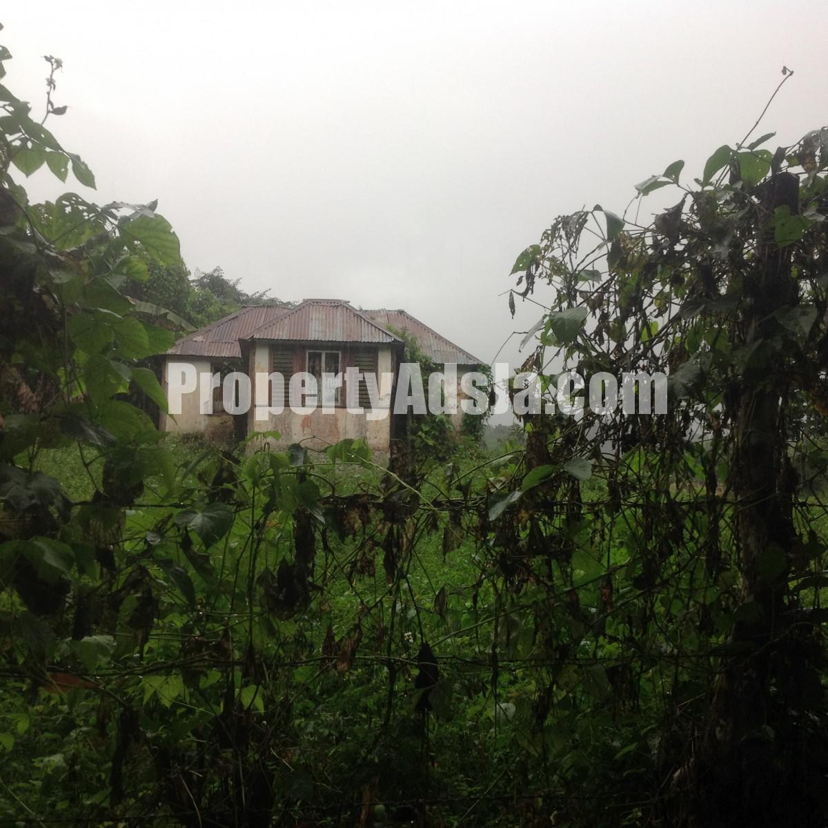 Residential lot For Sale in Claremont, St. Ann Jamaica