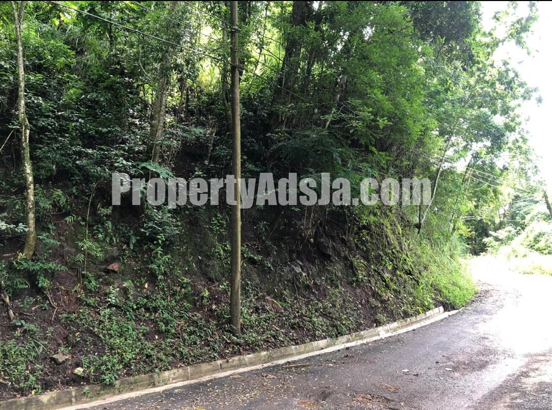 Residential lot For Sale in GORDON TOWN, Kingston / St. Andrew Jamaica