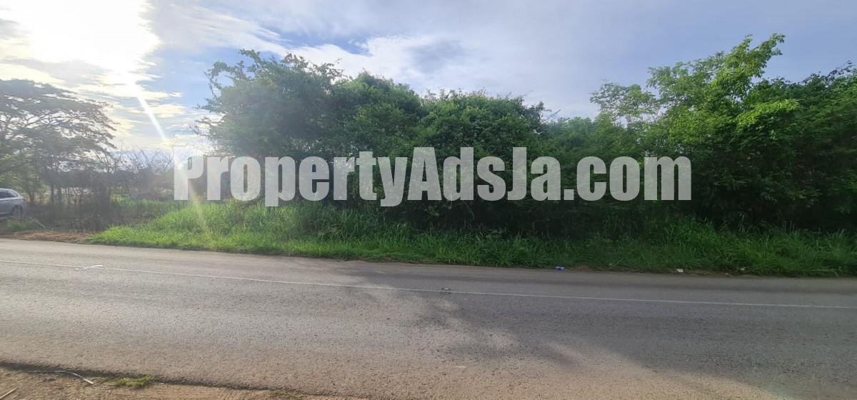 Land For Sale in Silver Sands, Trelawny Jamaica