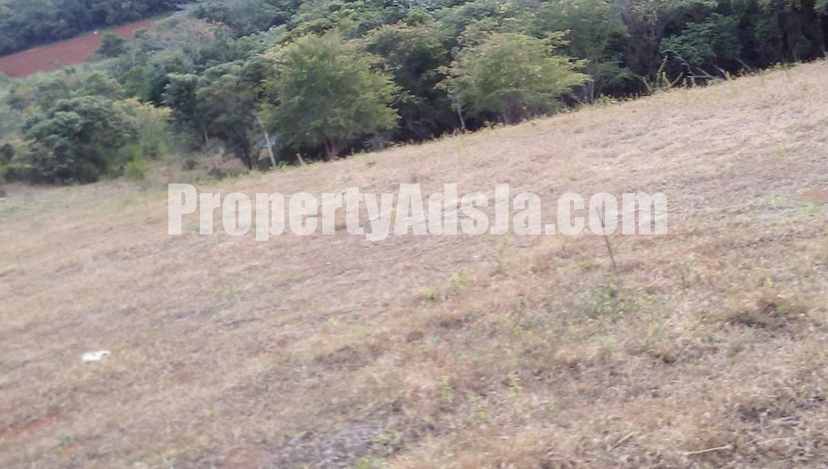 Residential lot For Sale in Malvern, St. Elizabeth Jamaica