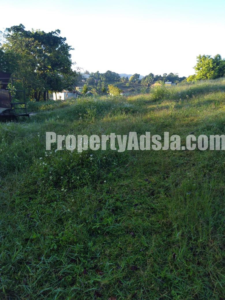 Commercial/farm land For Rent in Lydford St Ann, St. Ann Jamaica