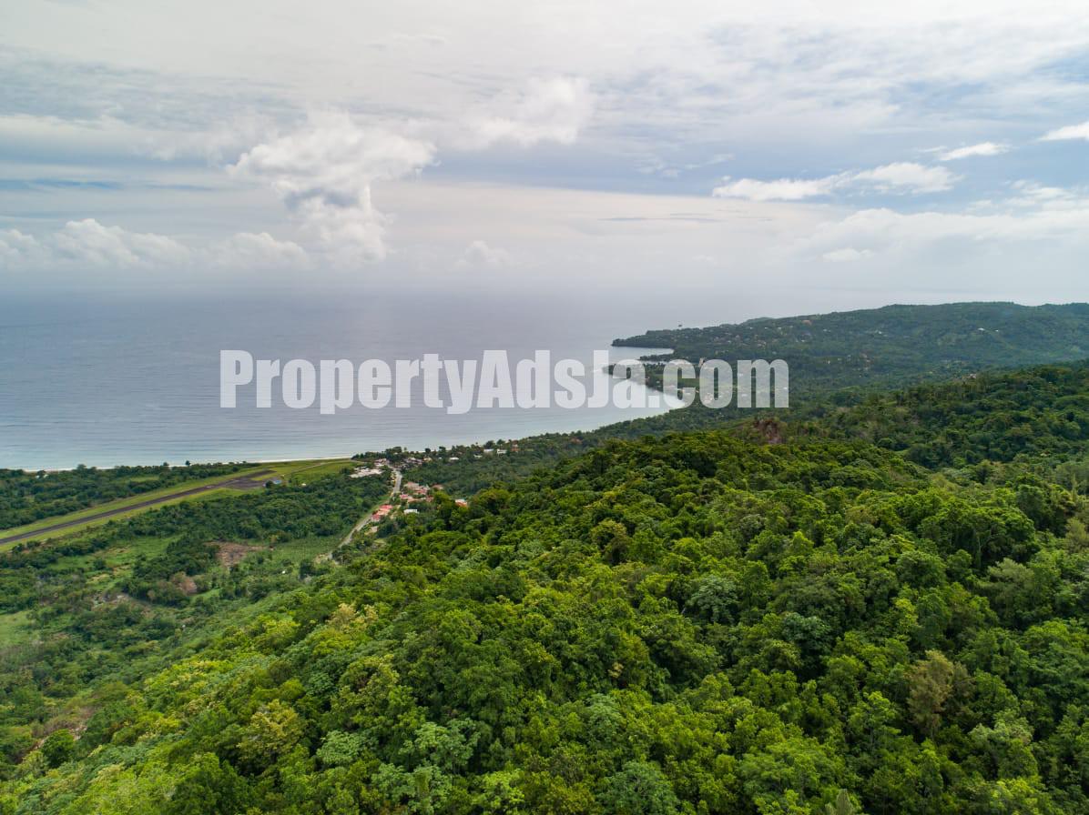 For Sale in Little Spring Garden, Portland Jamaica