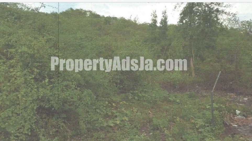 Commercial/farm land For Sale in Halse Hall May Pen, Clarendon Jamaica