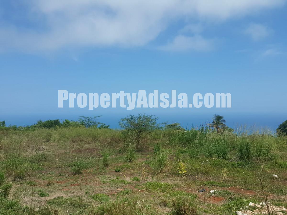 Residential lot For Sale in St Elizabeth, St. Elizabeth Jamaica
