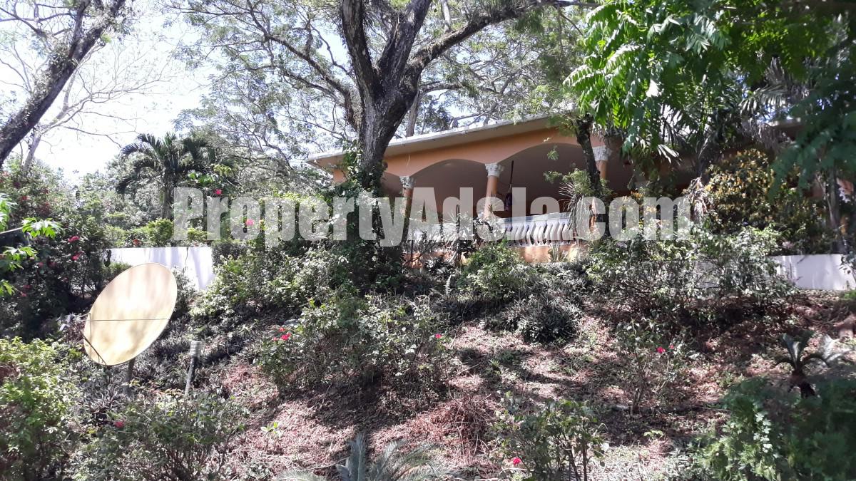 Commercial/farm land For Sale in Green Island, Westmoreland Jamaica