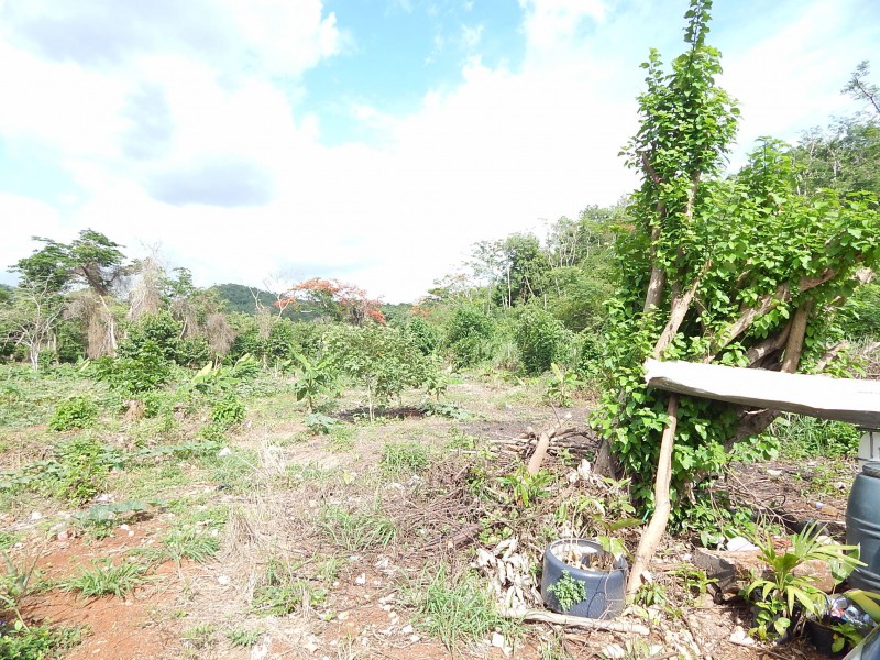 Commercial/farm land For Sale in RED HILLS, Kingston / St. Andrew