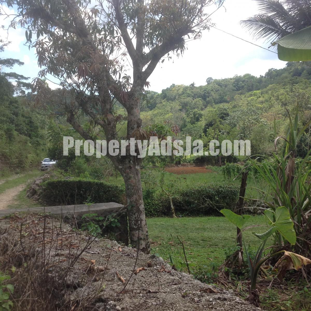 Residential lot For Sale in Mile Gully, Manchester Jamaica