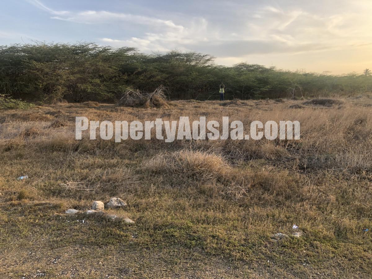 Residential lot For Sale in Treasure Beach, St. Elizabeth Jamaica