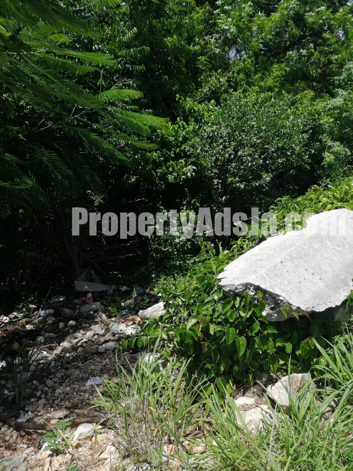 Commercial land For Sale in Spur Tree, Manchester Jamaica