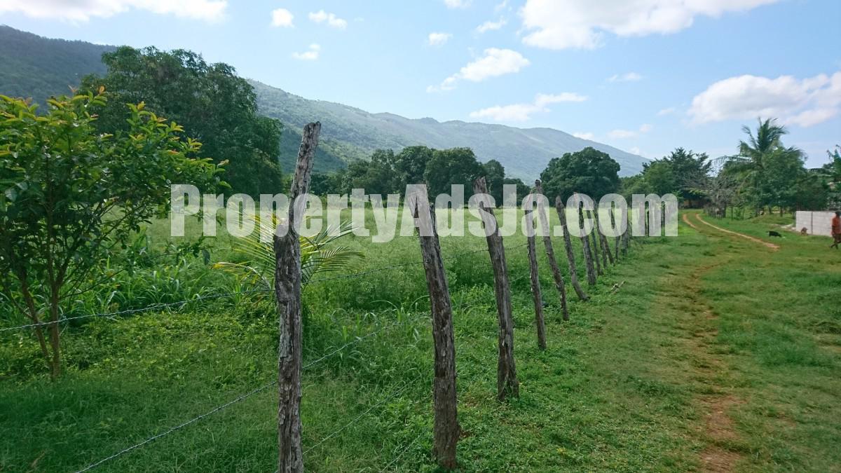 Residential lot For Sale in Orange Grove, St. Elizabeth Jamaica
