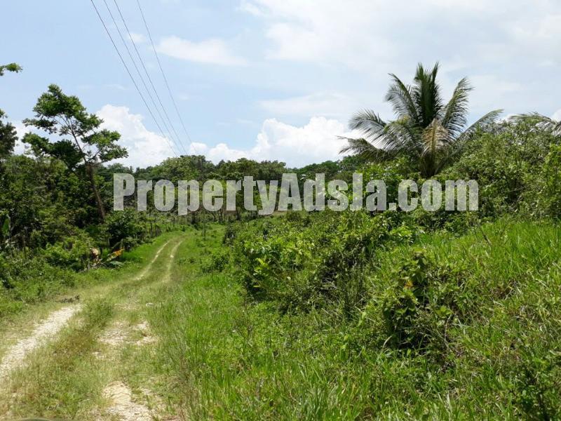 Commercial/farm land For Sale in BURNT GROUND, Hanover Jamaica