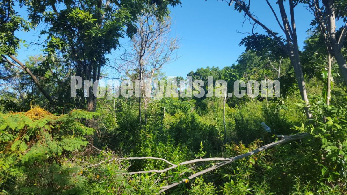 Residential lot For Sale in ALBION HEIGHTS, St. Thomas Jamaica