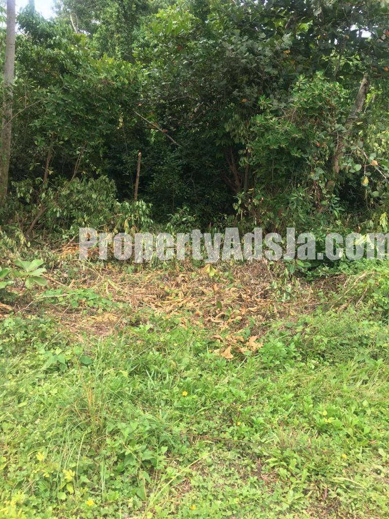 Residential lot For Sale in ST MARGARETS BAY, Portland Jamaica
