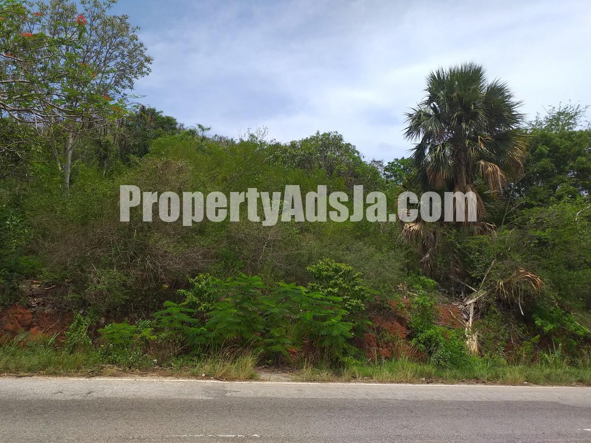 Commercial land For Sale in Spur Tree, Manchester Jamaica