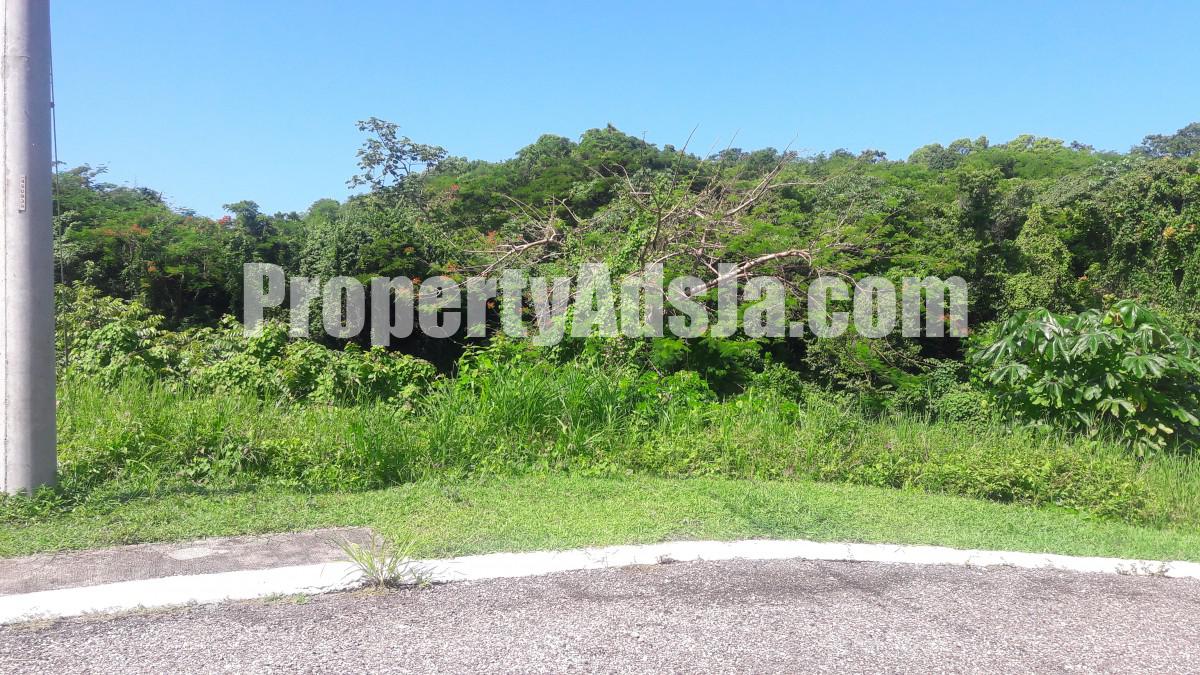 Residential lot For Sale in Negril, St. James Jamaica
